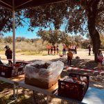 cronica-el-pardo-carcavas-07